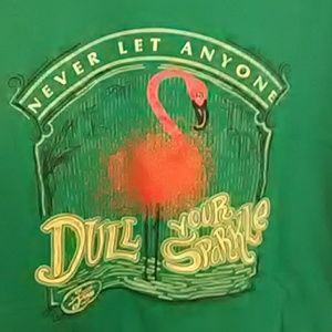 Sassy Frass Tees Flamingo Glitter Tee 2XL